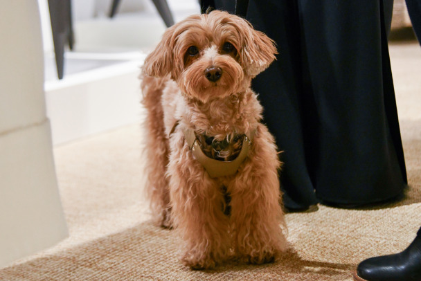  ������ �������� ��� ������� ������� ������ ��������� �������� 