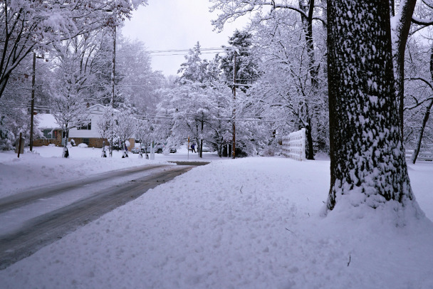  ����� ������ ���� ������� �������� ���������� ��������� ������ 