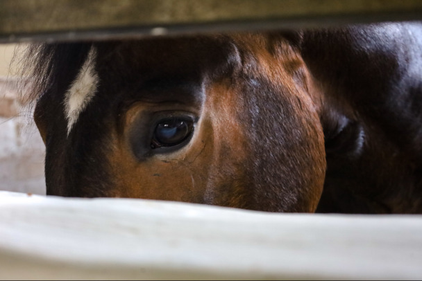  ����� �������� ����� ������ ��������� ������ 