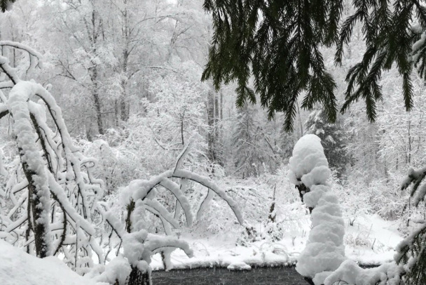  ����������� ����� ���������� ����������� ������ 