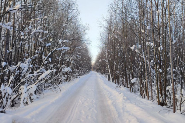  ������ ������ ��������� �������� �������� ��������� ����� ������ 