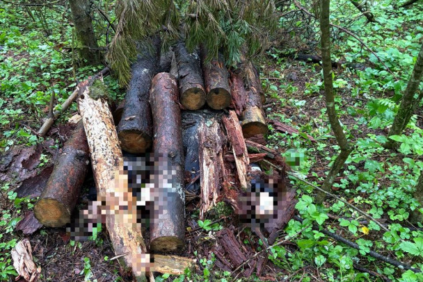  ���� ������� �������� ������� ������� ���������� ���������� �������� 