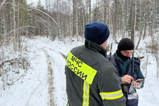  ��������� �������� ��������� ������ ��������� ����� ���������� 