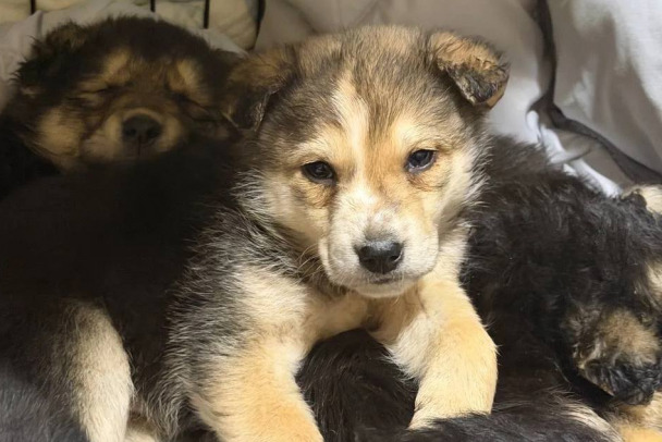  ���� ���������� ���� ��� ������ ����������� ����� ���� 