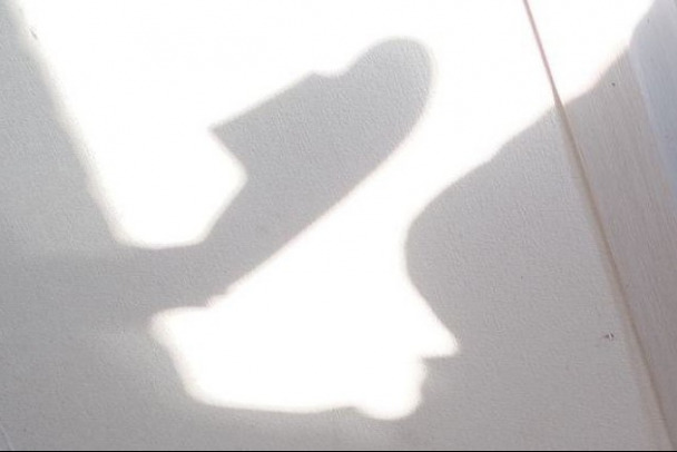  ������������ ��������� ���������� ������ ���������� �������� ��������� ������ 