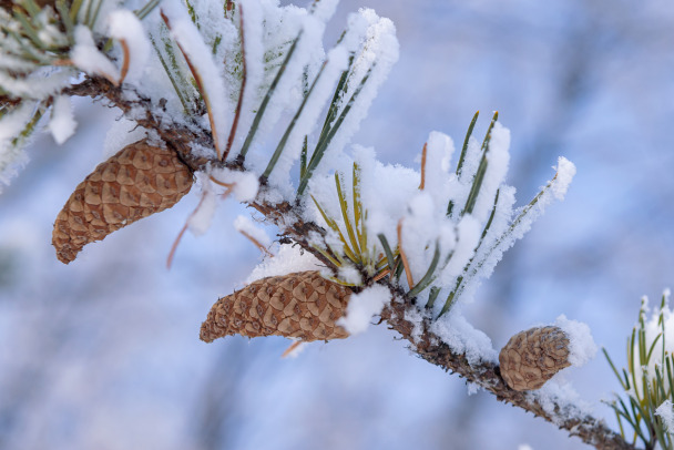  ���������� �������� ��������� ������� ��������� ���������� ������� 