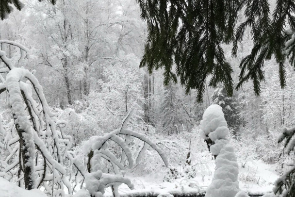 ����: 47news.ru