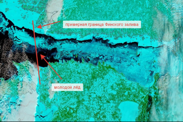 ����: 47news.ru