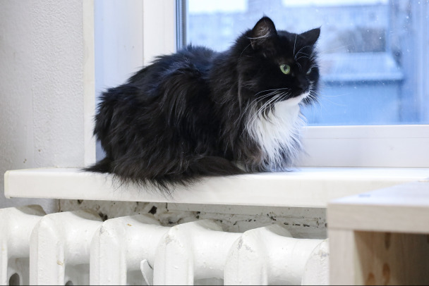  ������� ��������� ���� ���������� ����� 