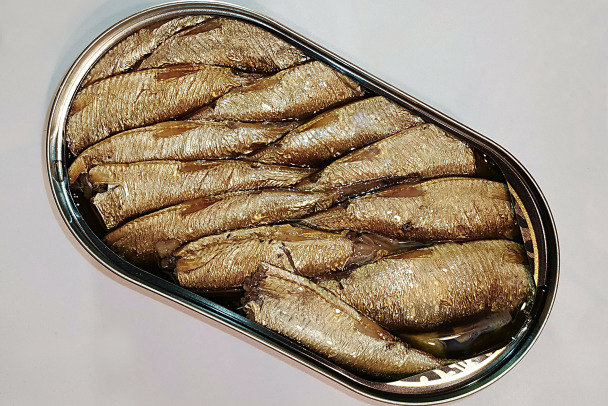  ���� ��� ������ ������ ���� ������������� ��� �������� 