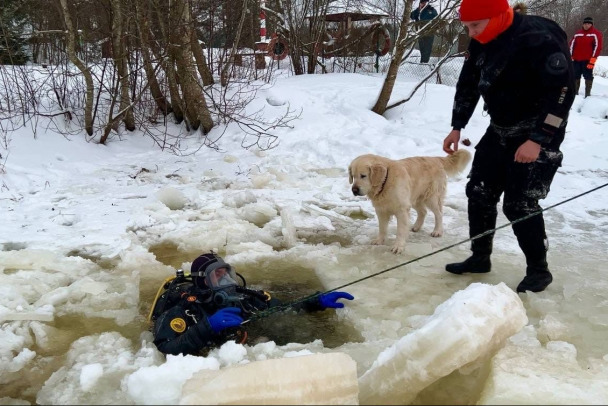 Голые в проруби