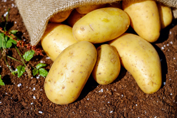 Максимум пользы. Диетолог объяснил, как правильно приготовить картофель › Статьи › 47новостей из Ленинградской области
