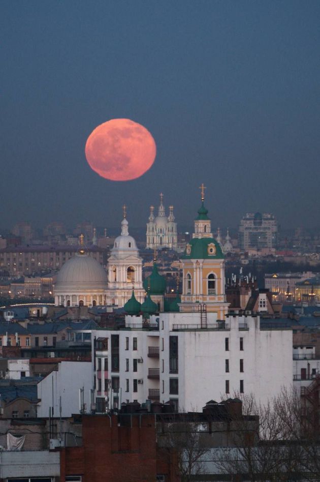 Полнолуние в питере сегодня фото Фото: Багровую луну засняли в Петербурге " Статьи " 47новостей из Ленинградской 