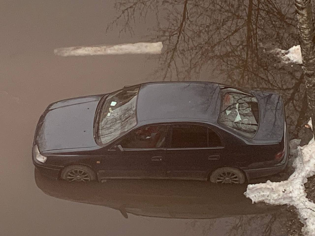 Снег растаял - начался потоп. Жители Волхова сидят дома из-за большой воды  – видео и фото › Статьи › 47новостей из Ленинградской области