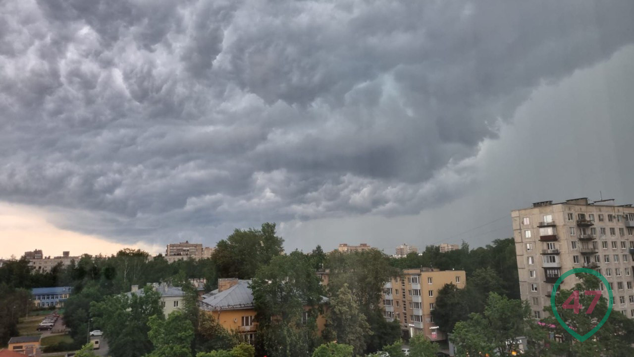 Фото и видео: С какой красотой на Петербург надвигается Зельда. А Всеволожск  — уже в эпицентре грозы › Статьи › 47новостей из Ленинградской области