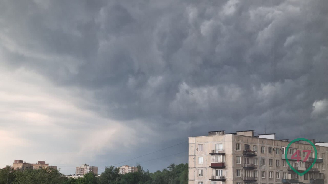 Фото и видео: С какой красотой на Петербург надвигается Зельда. А Всеволожск  — уже в эпицентре грозы › Статьи › 47новостей из Ленинградской области