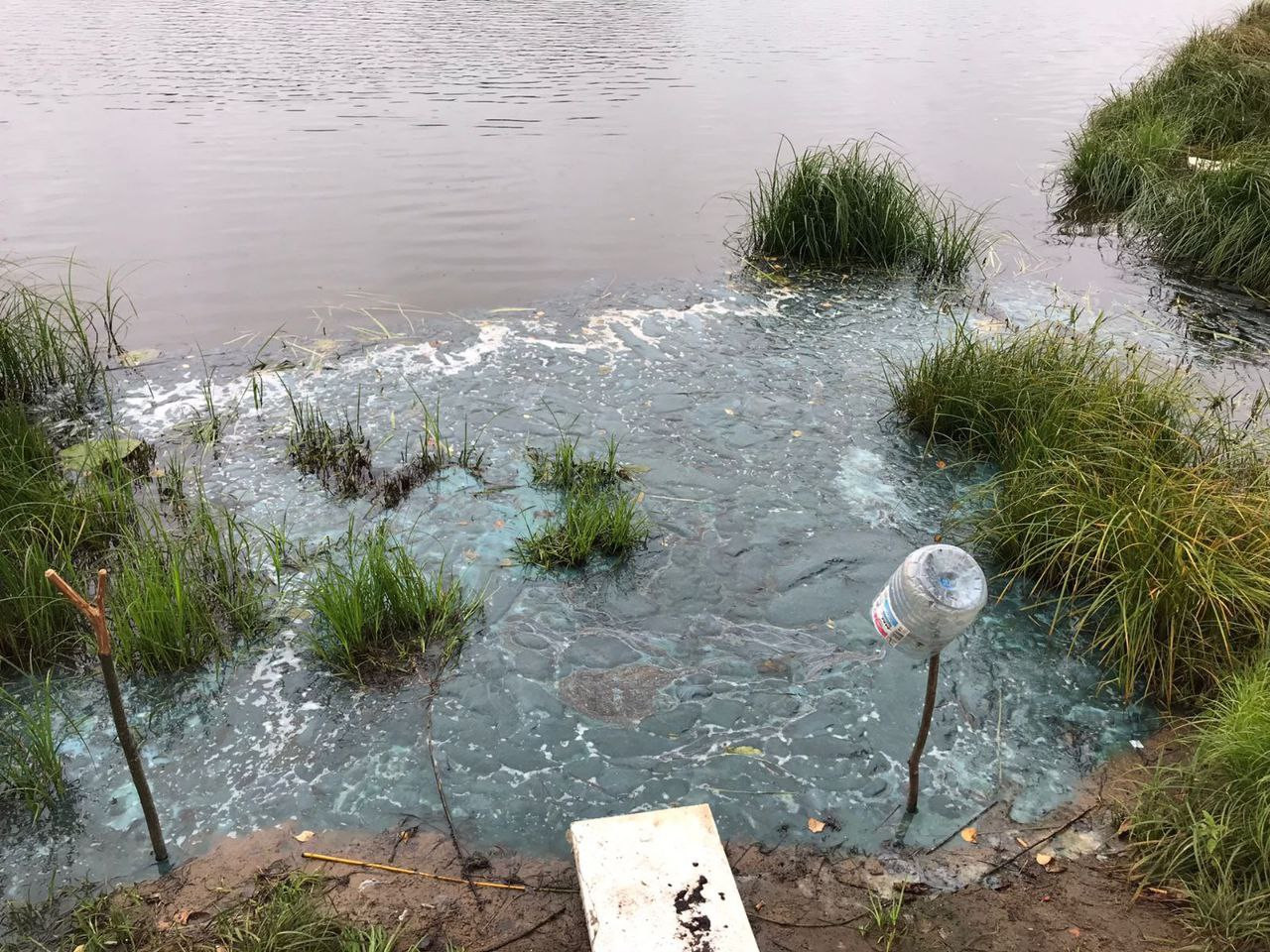 Озеро покрылось. Вода из озера. Берег озера Худолаз. Вода берег. Озеро с зеленой водой.