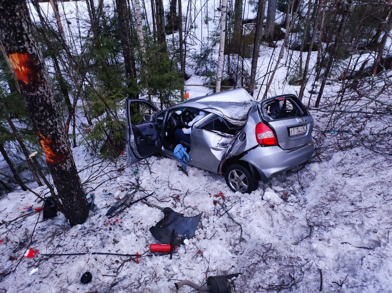 Фото: Под Выборгом Honda влетела в деревья в кювете, женщина-водитель в  больнице › Статьи › 47новостей из Ленинградской области