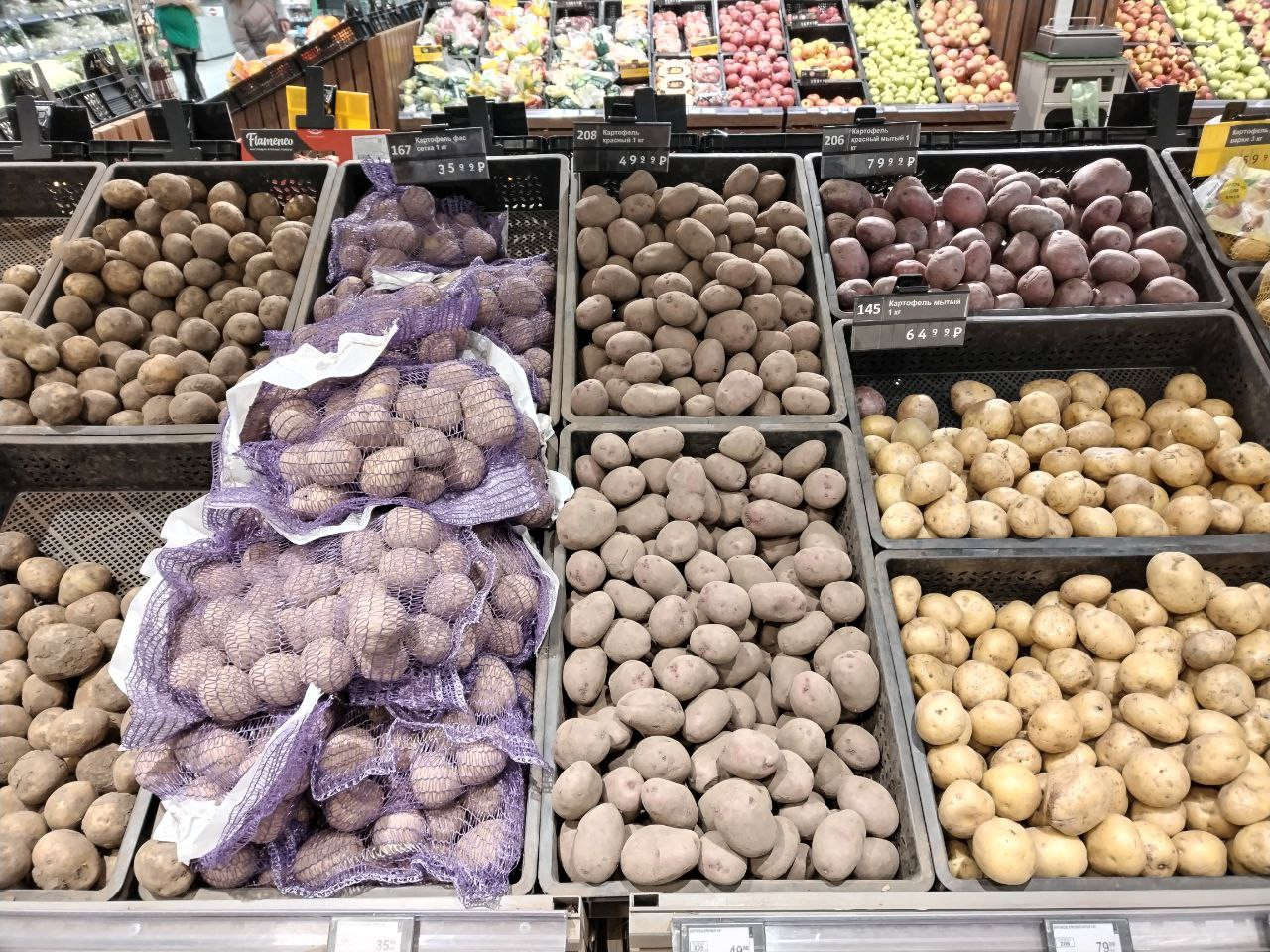 Купить картофель в ленинградской области. Египетская картошка в магните. Место для картошки.