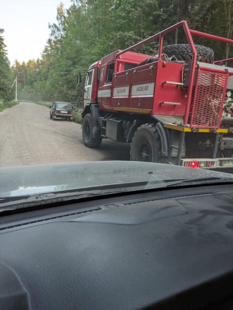 Появились новые фото и видео с места пожара в лесу под Отрадным |  21.06.2023 | ЛенОбласть - БезФормата