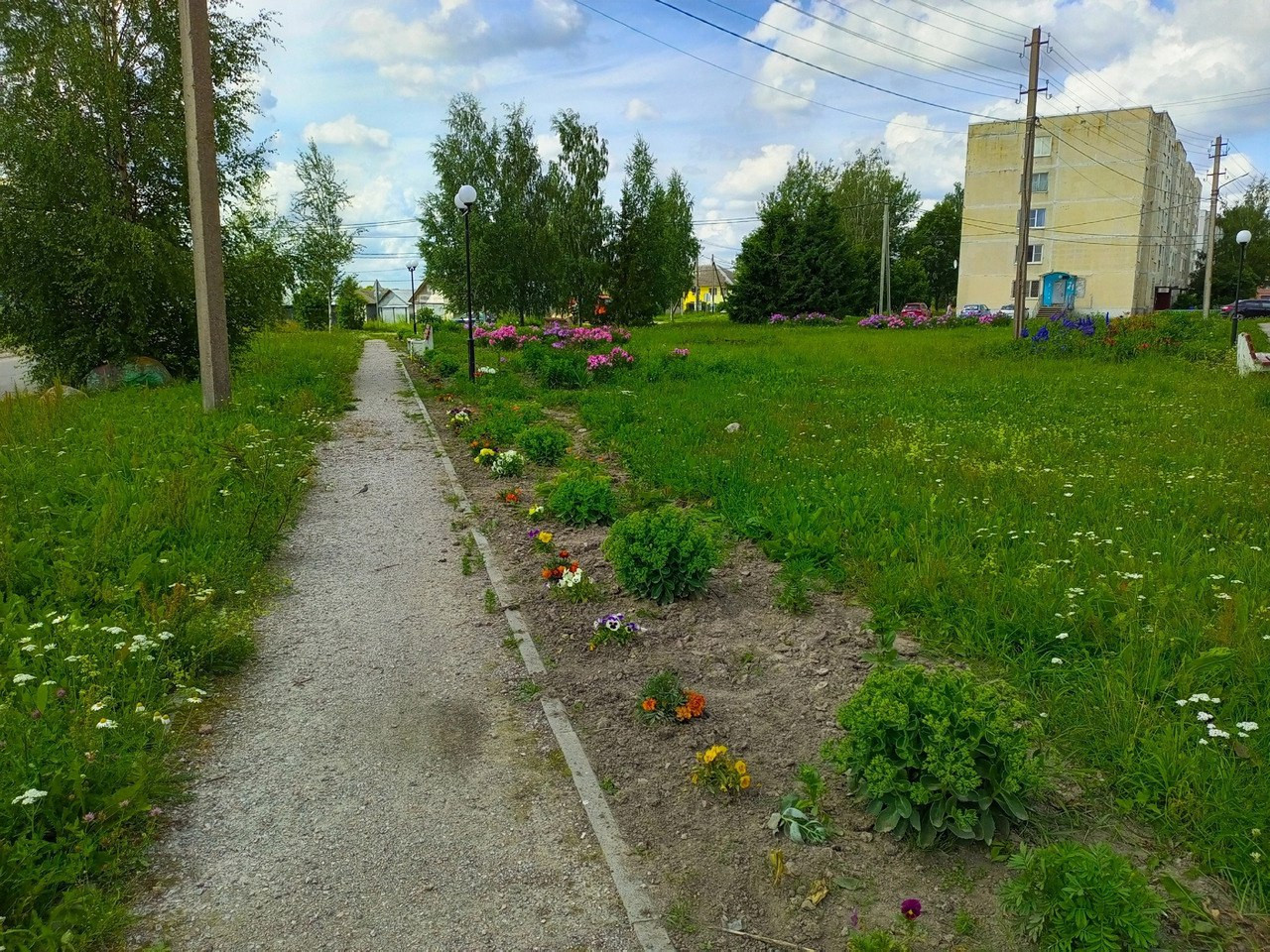 Жители деревни под Приозерском возмутились «сносом» аллеи памяти ветеранов  – фото, видео › Статьи › 47новостей из Ленинградской области