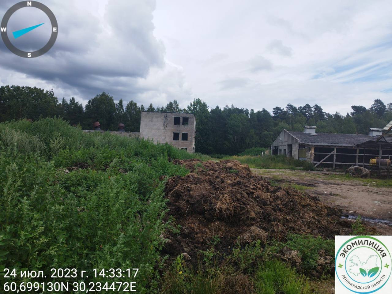 Самосвалы племзавода блокировали экомилицию под Приозерском. Туда приехали  на сигнал о горах навоза - видео, фото | 24.07.2023 | ЛенОбласть -  БезФормата