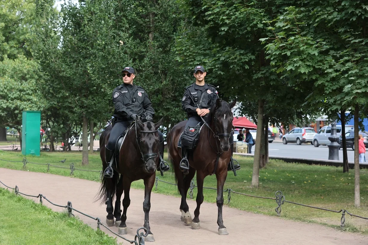 Конная полиция Петербурга приступила к патрулированию исторического центра  города › Статьи › 47новостей из Ленинградской области