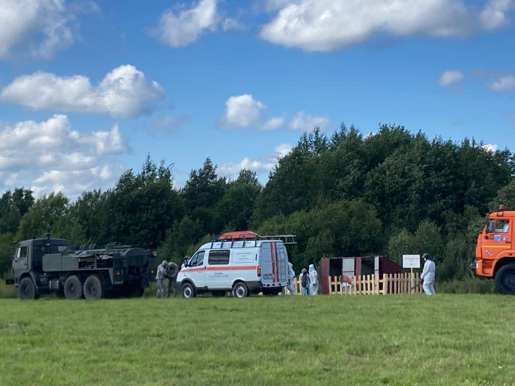 В Ленобласти люди в белом ударили по свинской проказе и птичьему гриппу -  фото, видео › Статьи › 47новостей из Ленинградской области