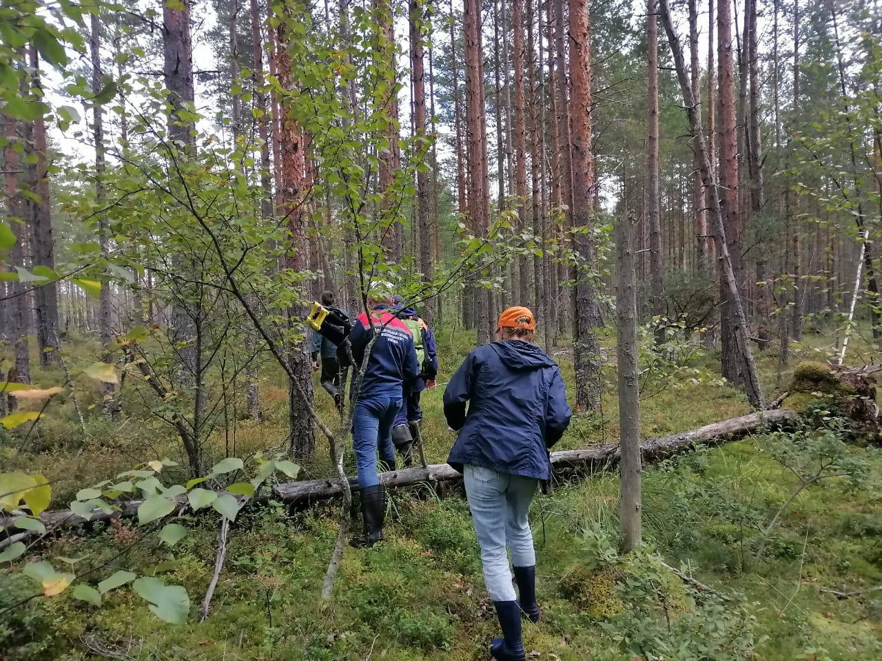 Сотрудник «Леноблпожспаса» ушел в лес за ягодами и вытащил пропавшего  грибника из болота - фото | 04.09.2023 | ЛенОбласть - БезФормата