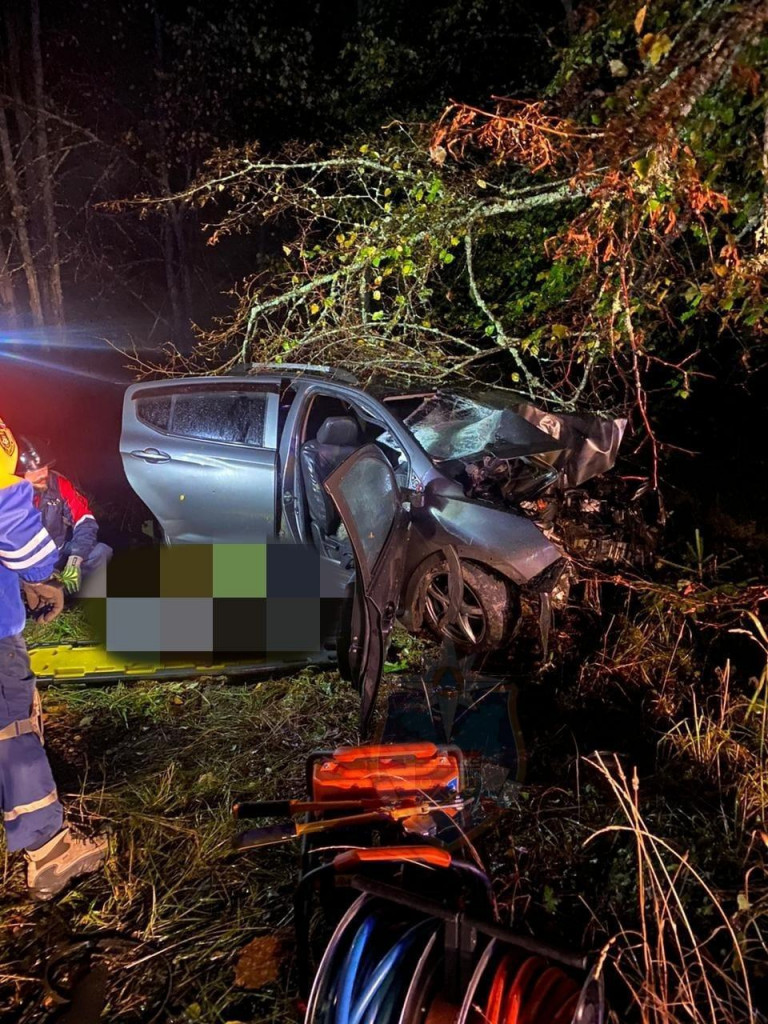 Под Тосно Lifan влетел в дерево в кювете. Погибла женщина-водитель,  пострадали два пассажира - фото | 05.10.2023 | ЛенОбласть - БезФормата