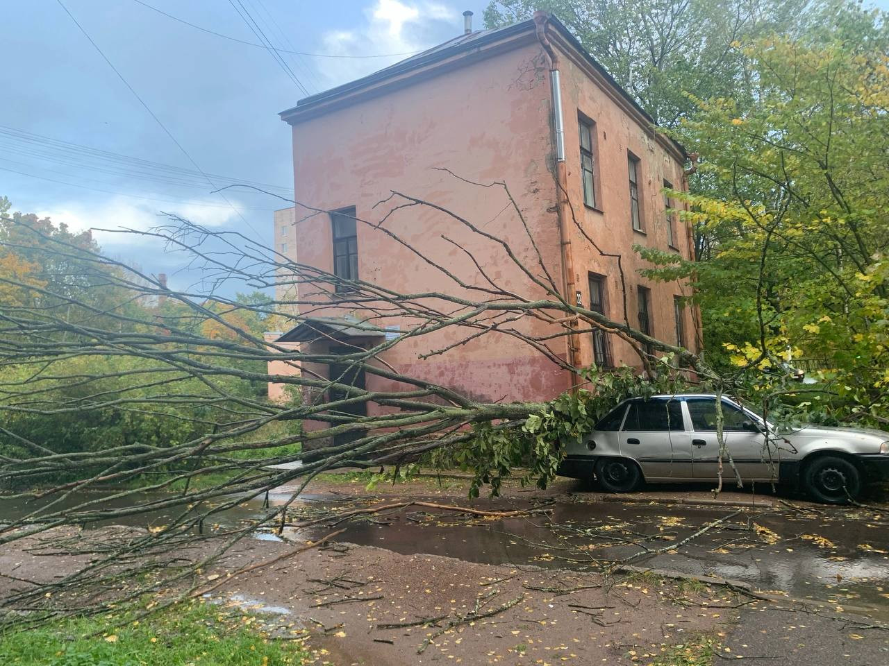 Порно голая девушка плавает в бассейне