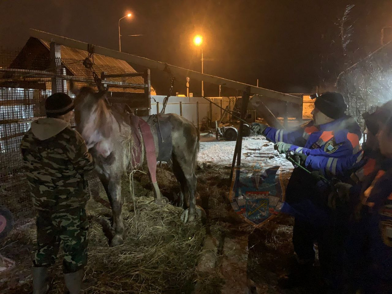 Как спасали коня Края в Тосненском районе Ленобласти 20 ноября 2023 года ›  Статьи › 47новостей из Ленинградской области