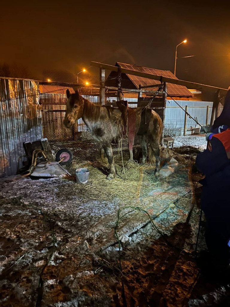 Порно рога и копыта смотреть онлайн на русском: смотреть видео онлайн