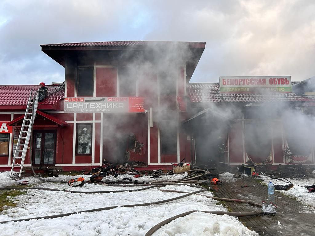 К пожару на городском рынке в Кингисеппе могла привести аварийная работа  электросети | 19.12.2023 | ЛенОбласть - БезФормата