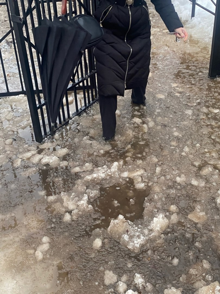 Фото и видео: Через забор и в воде по колено. К школе в Сертолово дети  пробирались с препятствиями › Статьи › 47новостей из Ленинградской области