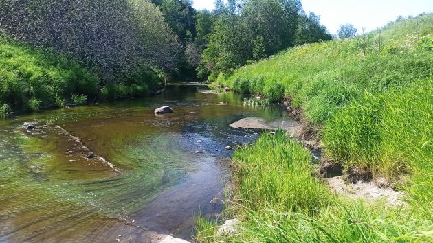 Машины-ассенизаторы разгружаются во Мге 29 декабря 2023 г. › Статьи ...