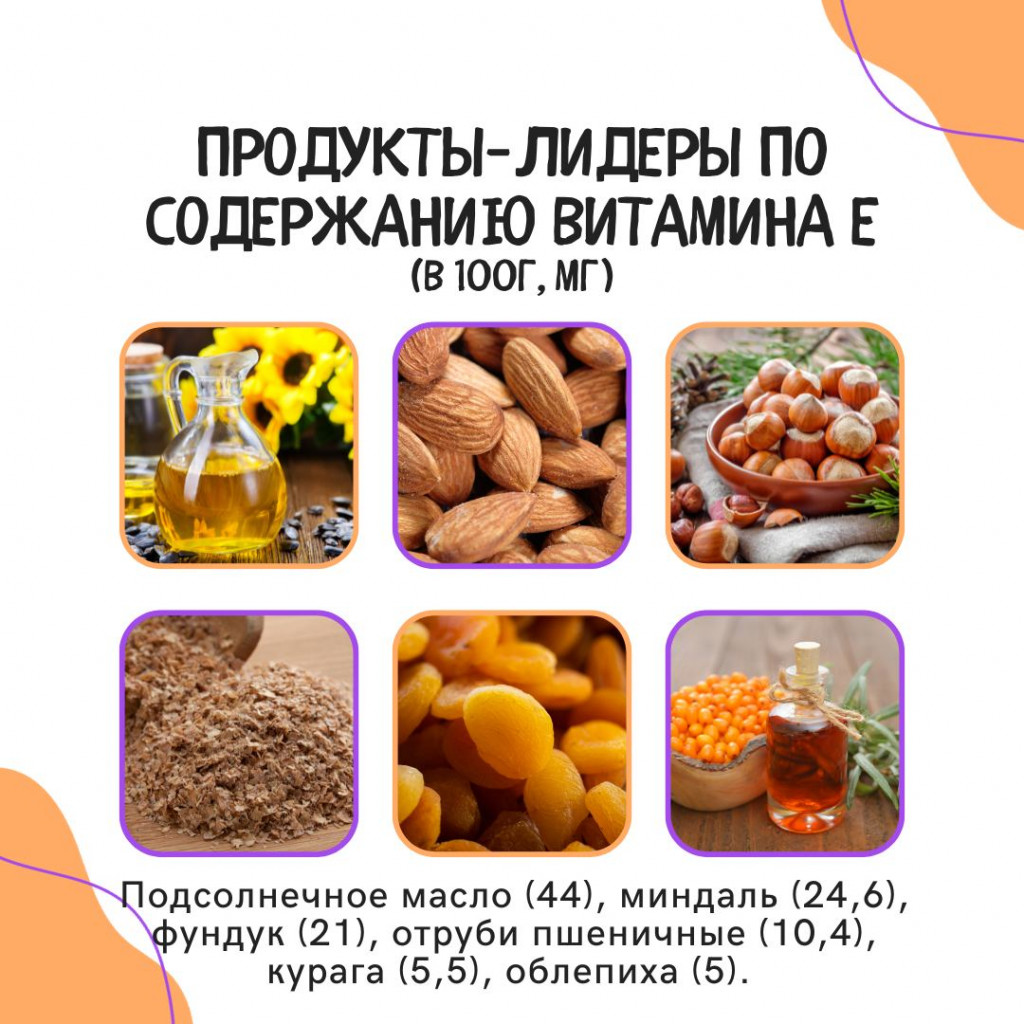 Названы продукты-лидеры по содержанию витамина Е | 17.01.2024 | ЛенОбласть  - БезФормата