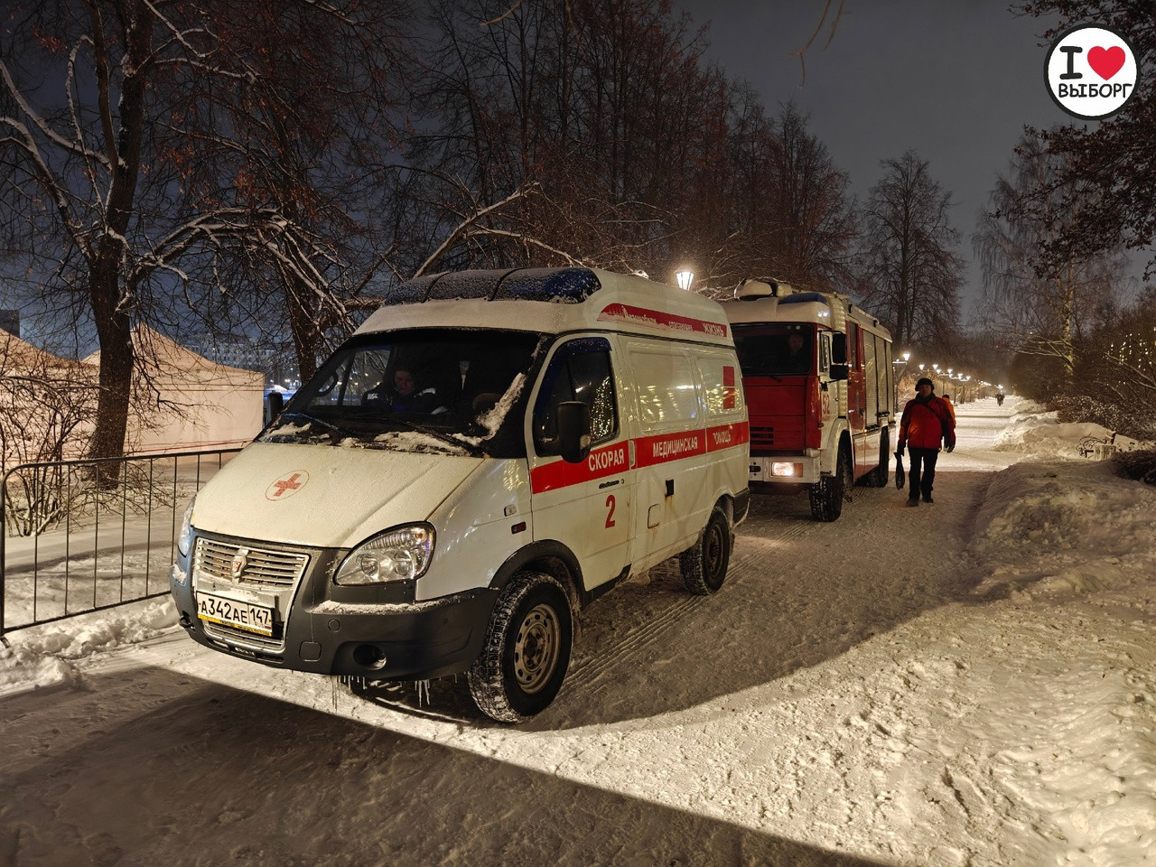 Фото: Первые крещенские купания в Ленобласти | 18.01.2024 | ЛенОбласть -  БезФормата