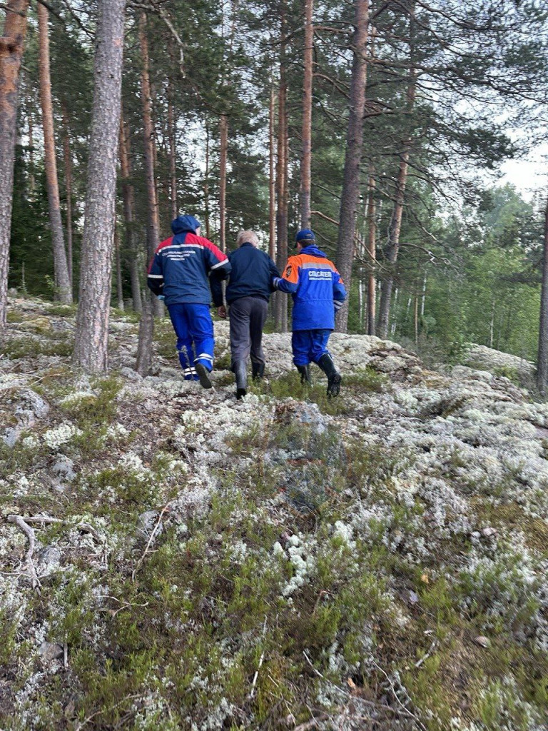 Под Приозерском 23 июня 2024 года спасатели вывели пенсионера с берега  озера › Статьи › 47новостей из Ленинградской области