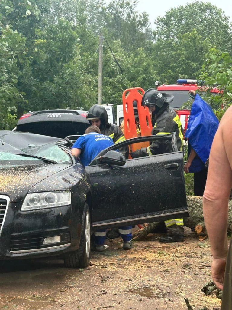 Дерево раздавило Audi в Волковицах. Из салона деблокировали двух женщин ›  Статьи › 47новостей из Ленинградской области