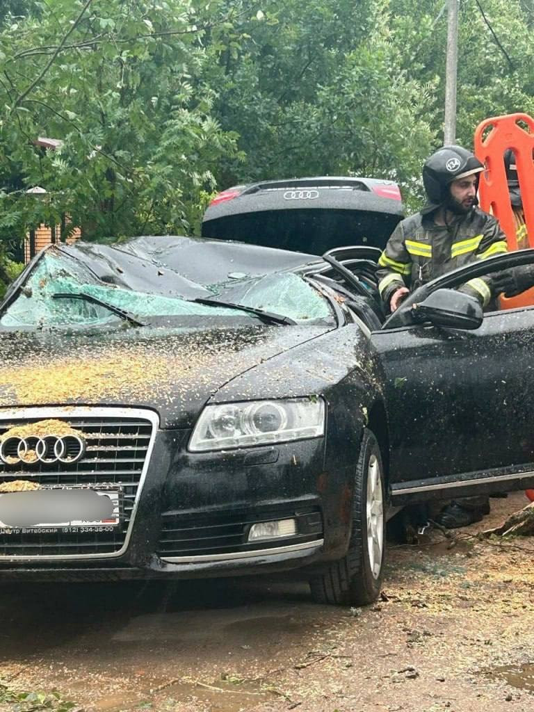 Дерево раздавило Audi в Волковицах. Из салона деблокировали двух женщин ›  Статьи › 47новостей из Ленинградской области