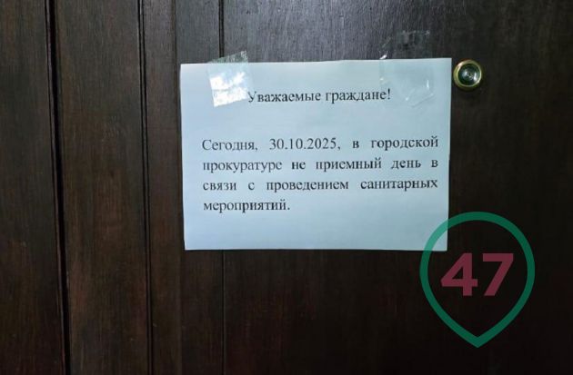 WhatsApp Image 2025-10-30 at 16.25.40.jpeg