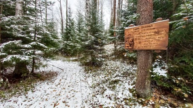 photo_2025-11-01_16-48-48 (2).jpg