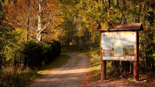 photo_2025-11-01_16-48-48 (3).jpg