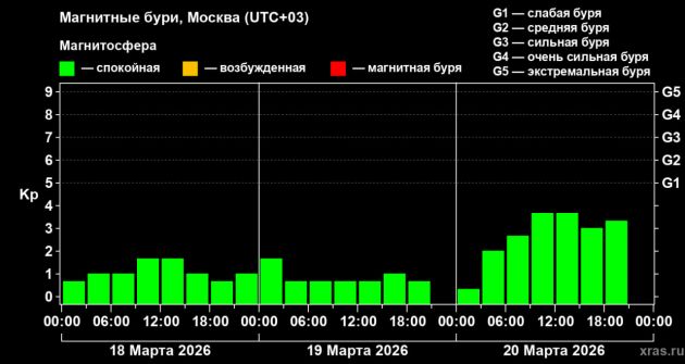 photo_2026-03-20_21-17-04 (2).jpg