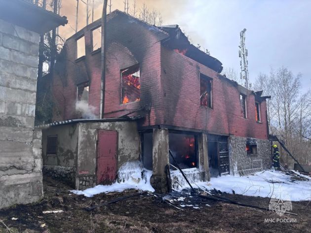 4971a89d-a984-4737-bf6e-cf4b54d0e274.jfif