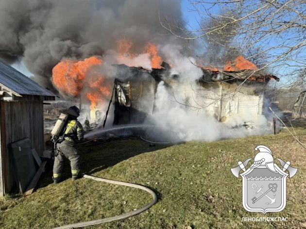 a7917828-5573-4987-849c-1388d160c260.jfif