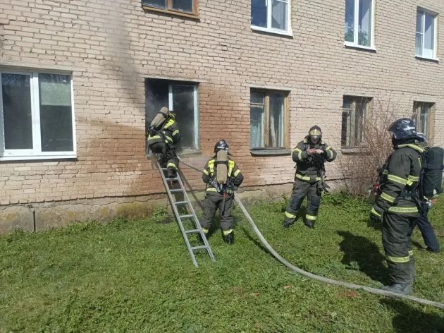 5b57bdab-801a-45eb-8af4-bb60e4f6b093.jfif