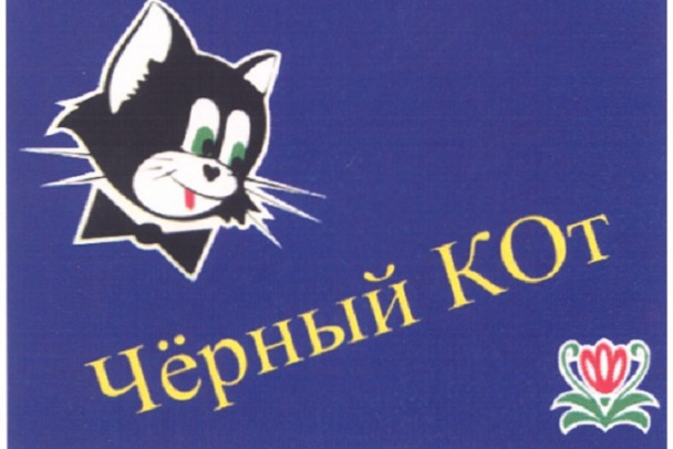 Черный кот череповец
