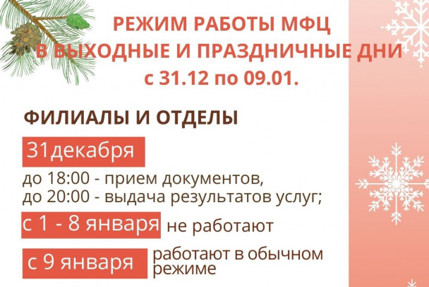 Внимание! График работы МАУ МФЦ в г. Гуково в новогодние праздники Новости МФЦ г